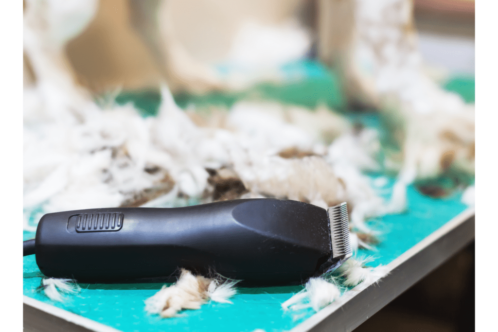 Best Dog Hair Clippers